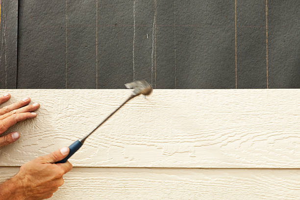 Best Insulated Siding Installation  in Kgsford Heights, IN